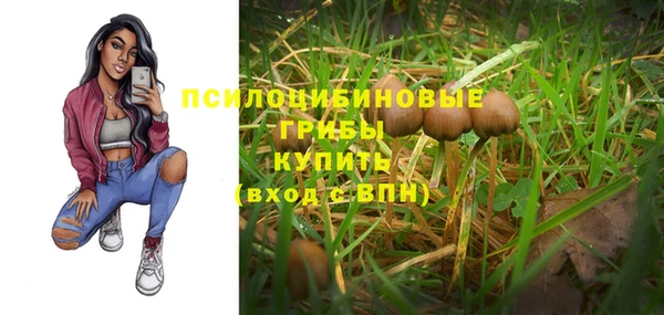 марки nbome Белокуриха