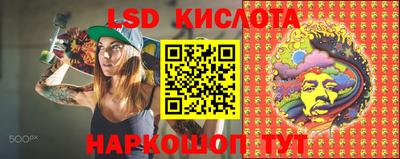 дживик Аргун