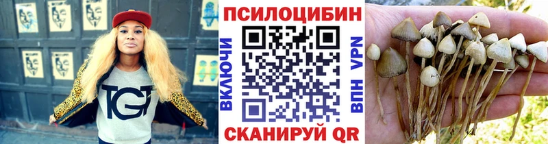 Псилоцибиновые грибы Psilocybine cubensis  Верхняя Пышма 